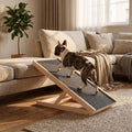 Pfotenstieg Holzrampe am Sofa, Franzoesische Bulldogge laeuft die Rampe hinauf