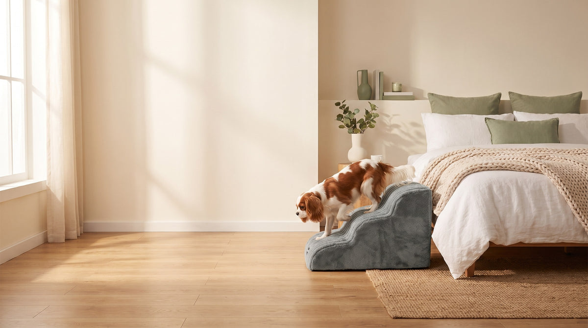 Hund geht die Pfotenstieg Hundetreppe neben dem Bett hinunter